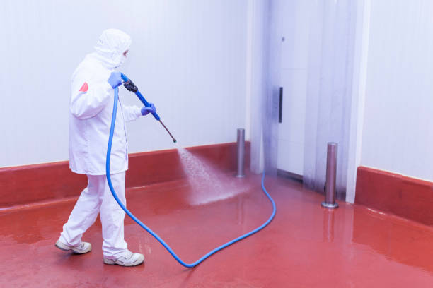 Best Sidewalk and Walkway Cleaning  in Liberty, TX